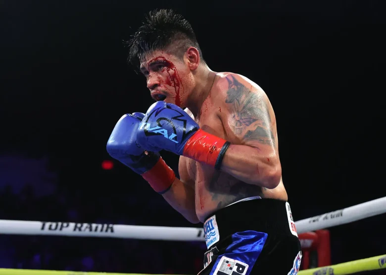 Navarrete vs Suarez Fight