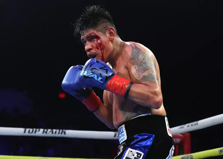 Navarrete vs Suarez Fight