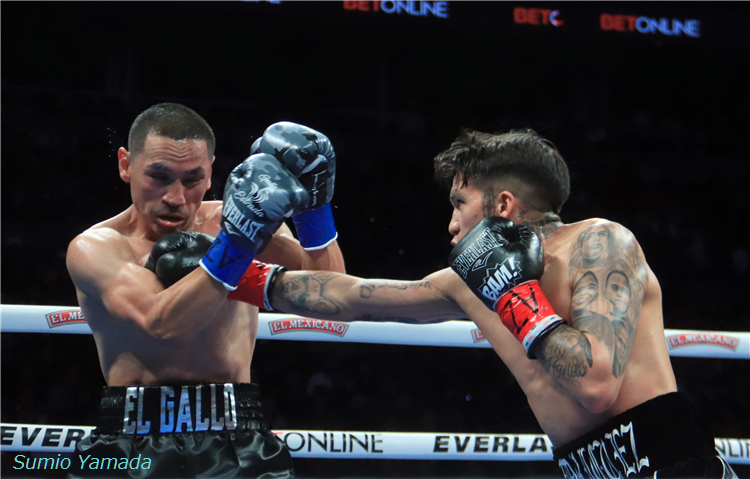 Juan Francisco Estrada vs. Jesse Rodriguez