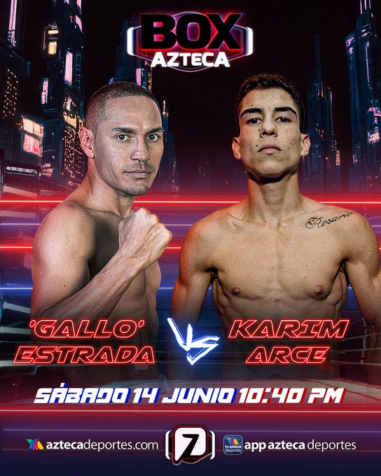 Juan Francisco Estrada vs. Karim Arce