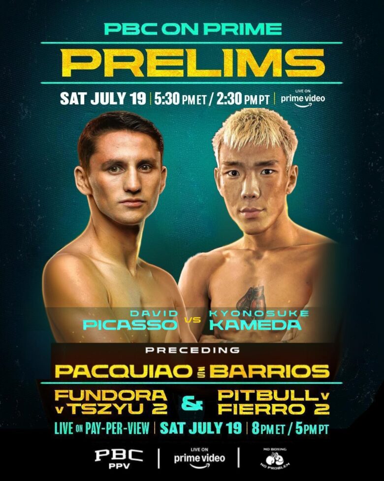 David Picasso vs. Kyonosuke Kameda