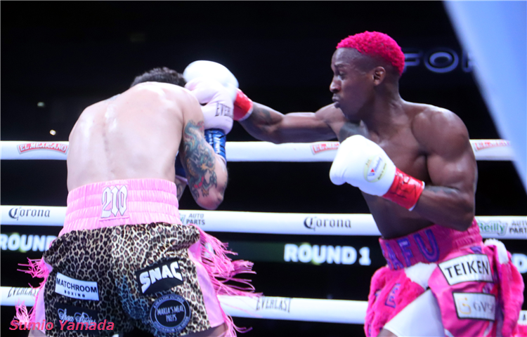 Jesse Rodriguez vs. Phumelela Cafu