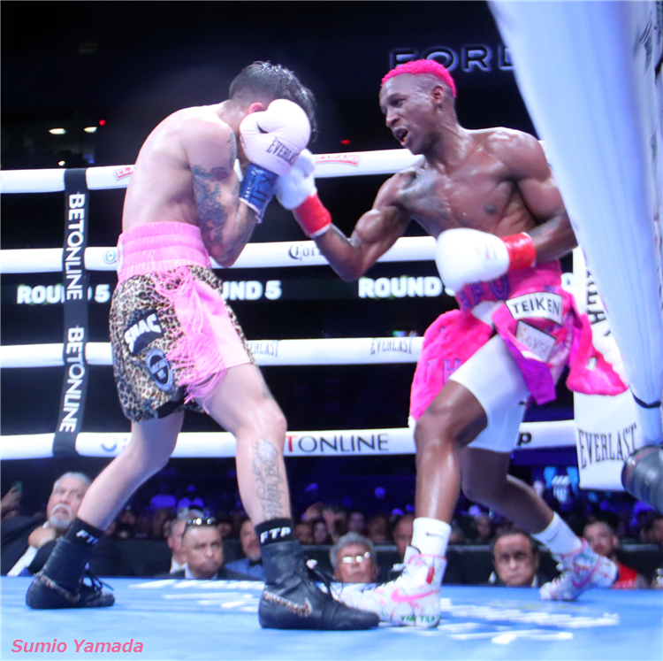 Jesse Rodriguez vs. Phumelela Cafu