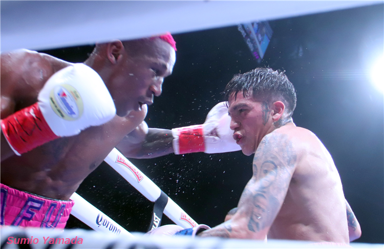 Jesse Rodriguez vs. Phumelela Cafu