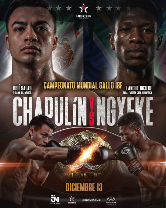 Jose Salas Reyes vs. Landile Ngxeke