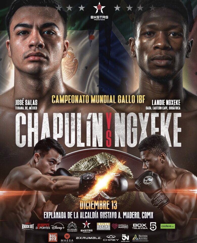 Jose Salas Reyes vs. Landile Ngxeke
