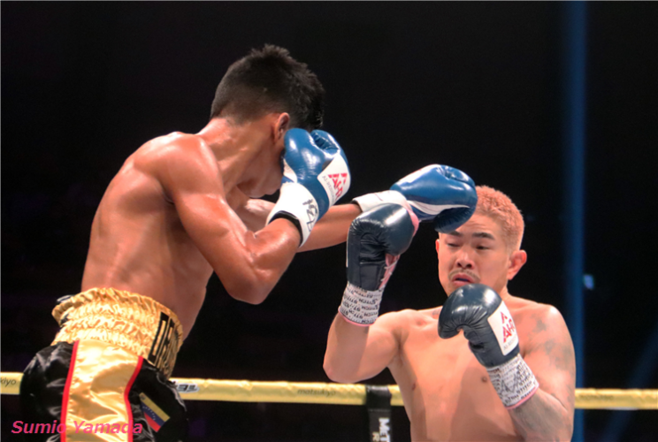 Kazuto Ioka vs. Maikel Ordosgoitti