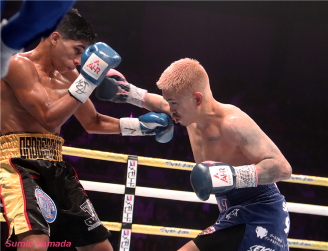 Kazuto Ioka vs. Maikel Ordosgoitti