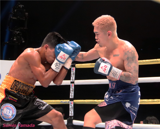 Kazuto Ioka vs. Maikel Ordosgoitti