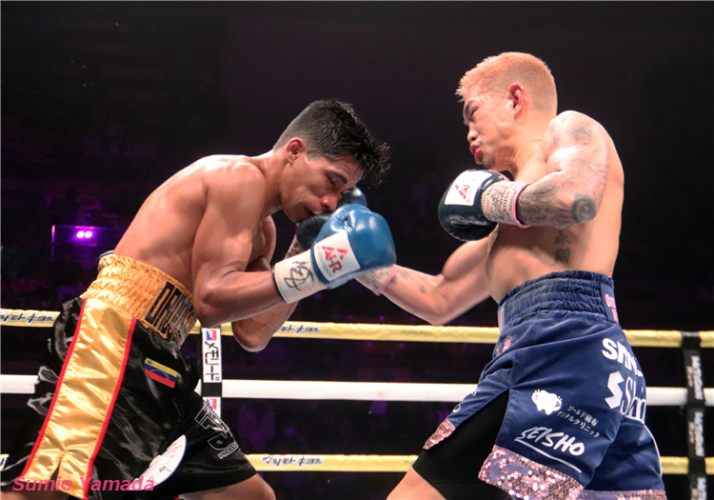 Kazuto Ioka vs. Maikel Ordosgoitti