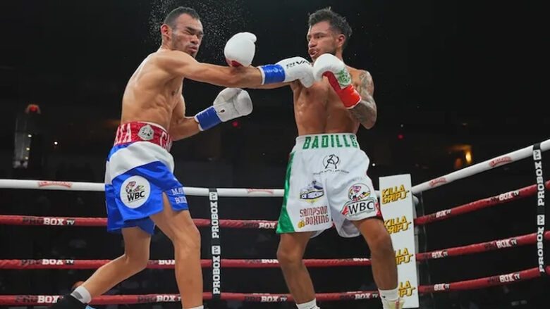 Erik Badillo vs. Gerardo Zapata