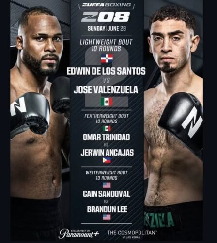 Zuffa Boxing8