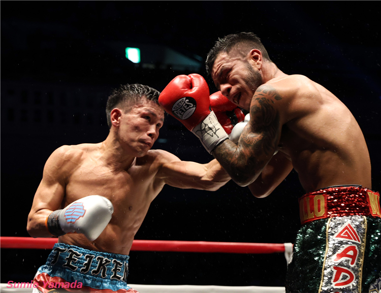 Shokichi Iwata vs. Erik Badillo