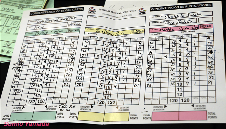 Shokichi Iwata vs. Erik Badillo